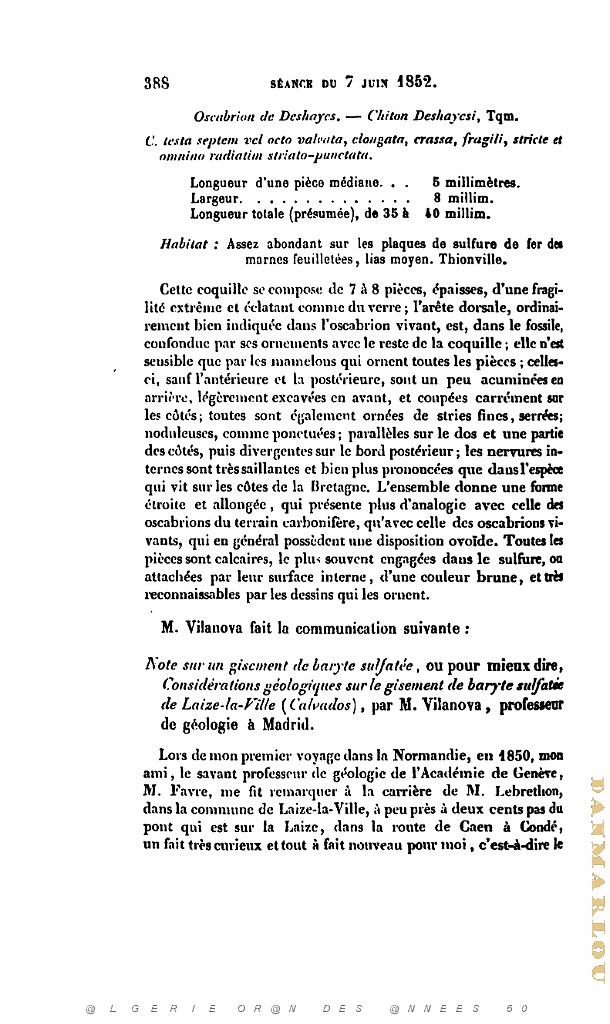 BULLETIN DE LA SOCIETE GEOLOGIQUE DE FRANCE 1852_000431.jpg